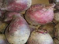 Ekološka kmetija Domen