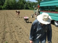 Ekološka kmetija Milan Rus