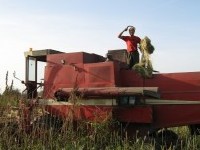 Ekološka kmetija Milan Rus