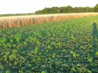 Ekološka kmetija Milan Rus