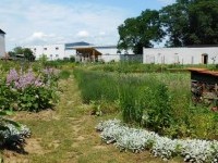 ZRIRAP so.p. Beltinci