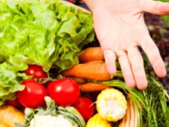 VABILO NA SIMPOZIJ  O POMEMBNIH DEJSTVIH ZA IZBOLJŠANJE PRIDELAVE ZELENJAVE V ZAŠČITENIH PROSTORIH