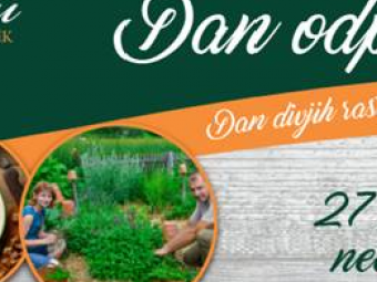 DAN DIVJIH RASTLIN IN NOVODOBNE KUHINJE
