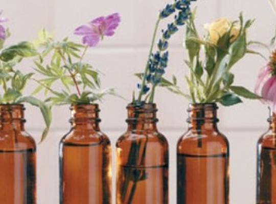 RECEPT ZA INGVERJEVO TINKTURO PROTI SLABOSTI IN PREBAVNIM TEŽAVAM